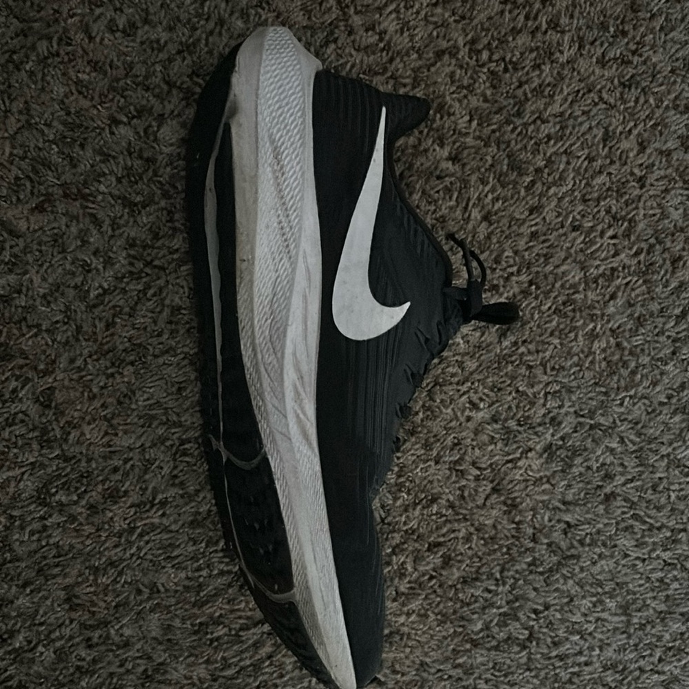 Nike air zooms PEGASUS 39